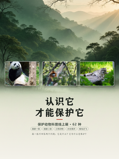 认识它，才能保护它