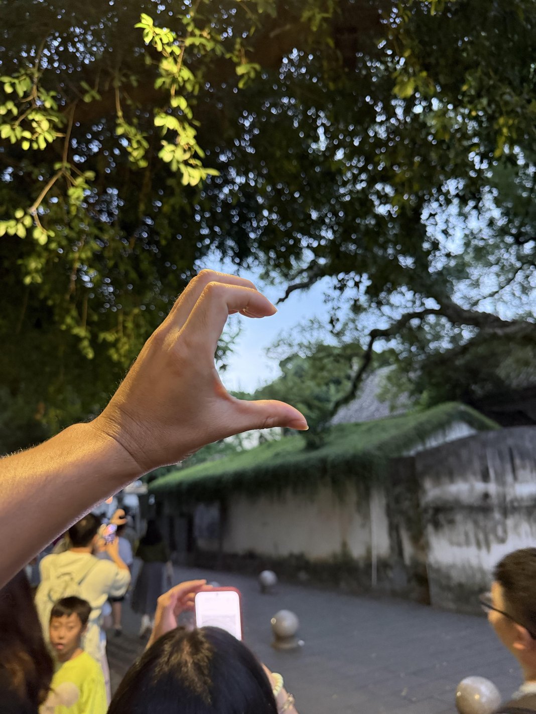 好好好