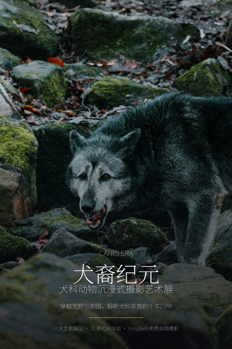 犬裔纪元 · Canis Era